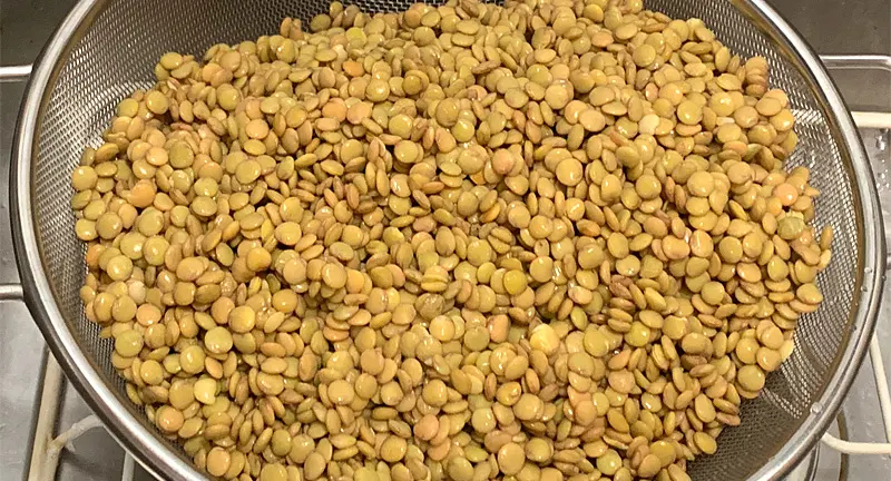 Drained Lentils